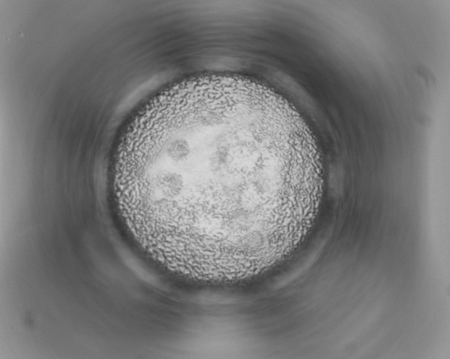 X0000113630725200910162015