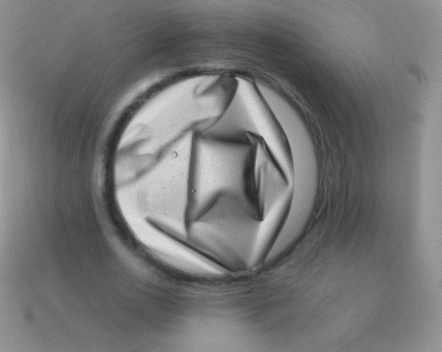 X0000113630726200910162015