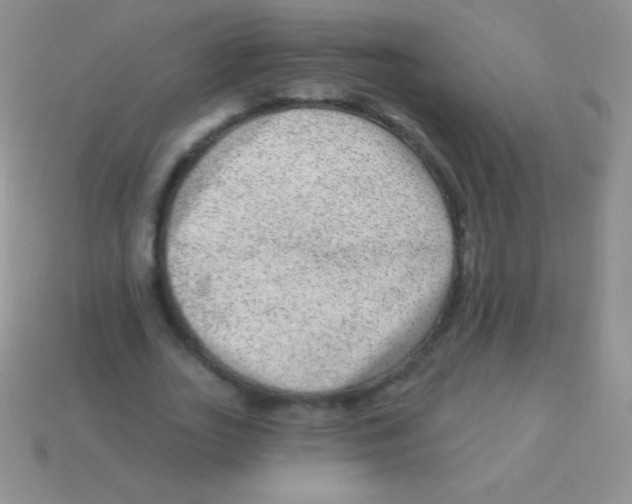 X0000113630727200910162015