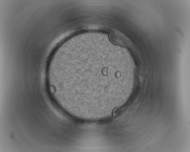 X0000113630728200910162015