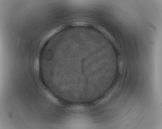 X0000113630729200910162015