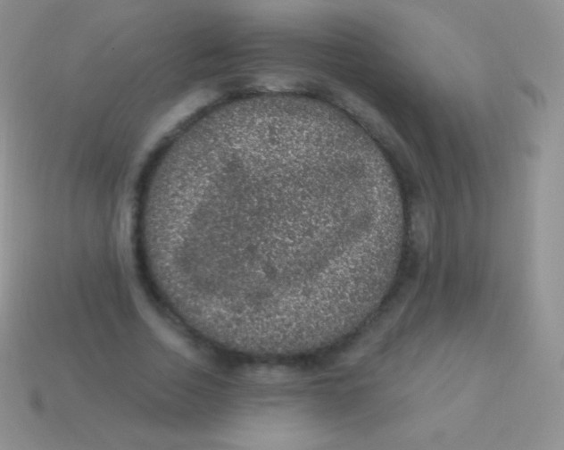 X0000113630730200910162015