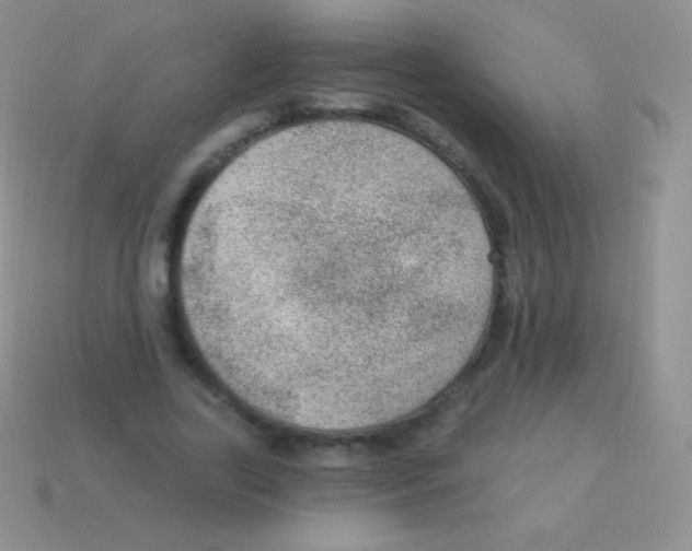 X0000113630731200910162015