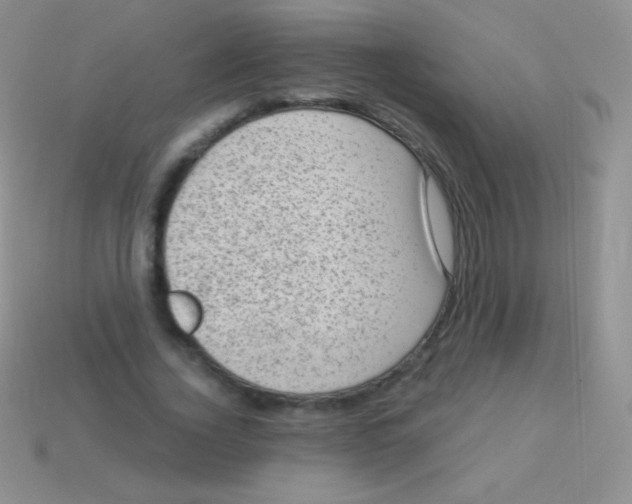 X0000113630732200910162015