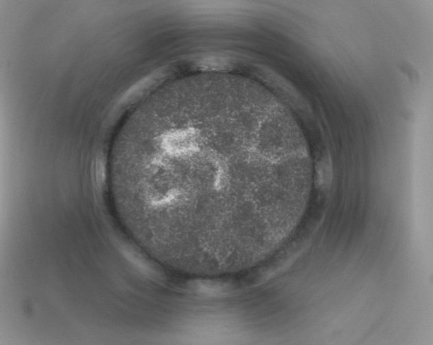 X0000113630733200910162015