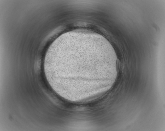 X0000113630735200910162015