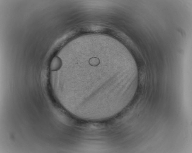 X0000113630736200910162015