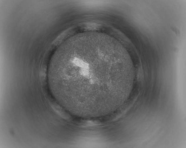 X0000113630737200910162015