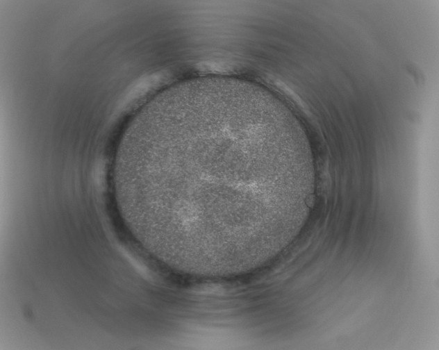 X0000113630738200910162015