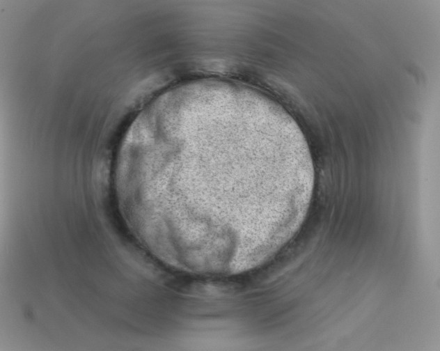 X0000113630739200910162015