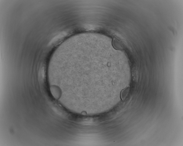 X0000113630740200910162015