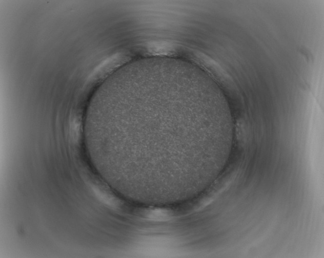 X0000113630741200910162015