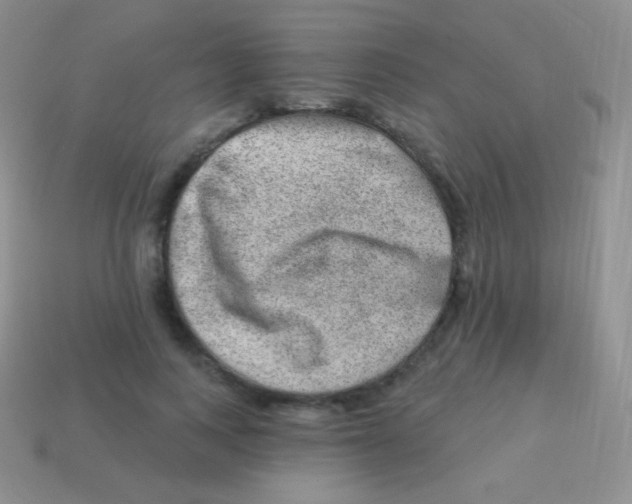 X0000113630743200910162015