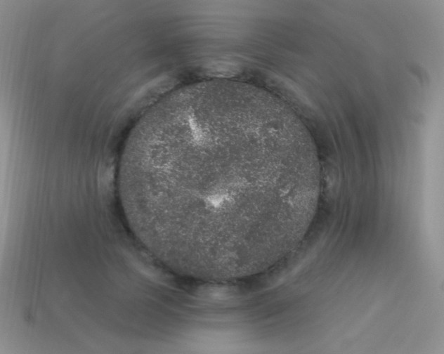 X0000113630745200910162015