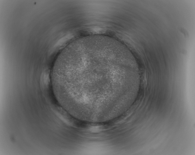 X0000113630746200910162015