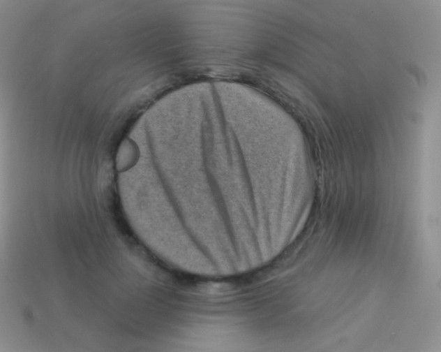 X0000113630748200910162015