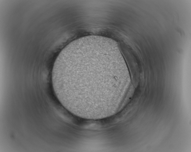 X0000113630750200910162015