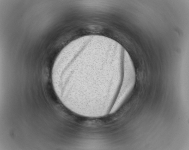 X0000113630752200910162015