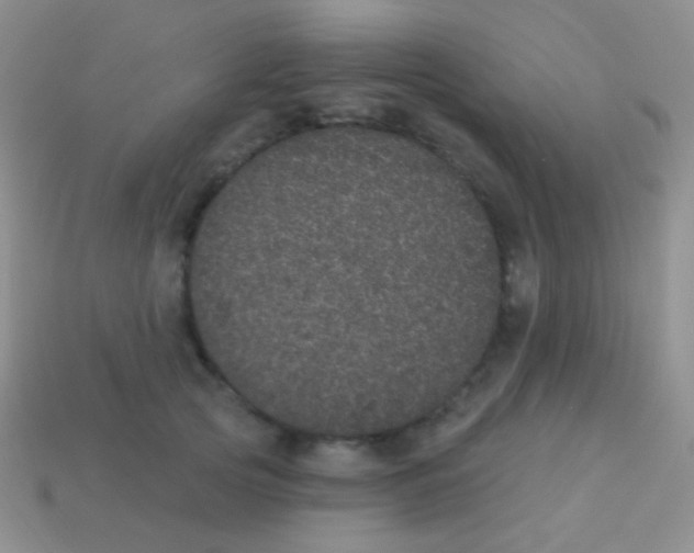 X0000113630753200910162015