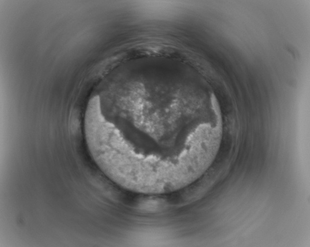 X0000113630754200910162016