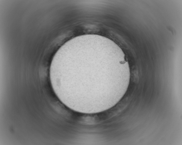 X0000113630756200910162016