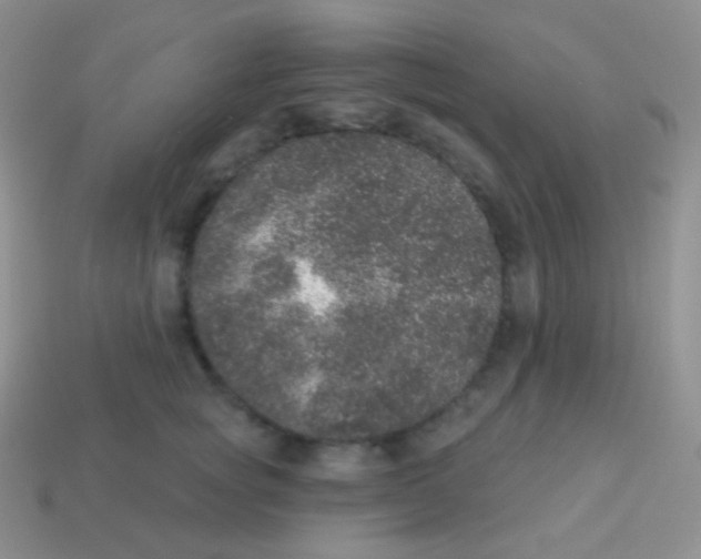 X0000113630757200910162016