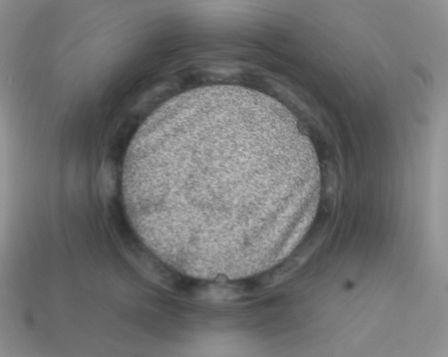 X0000113630758200910162016