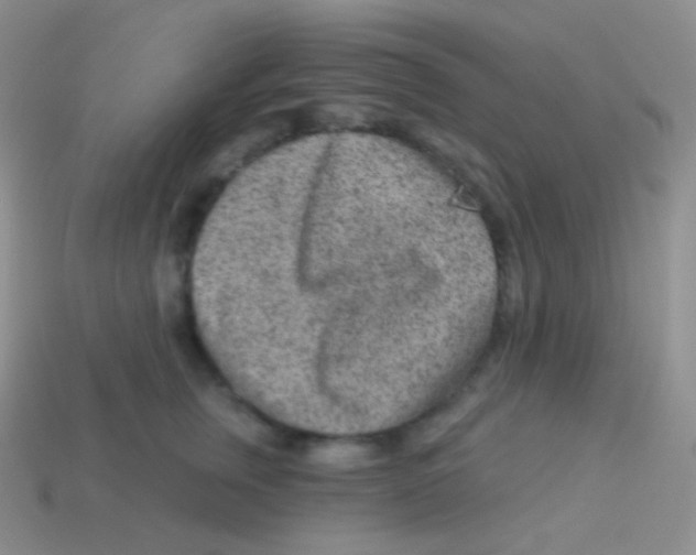 X0000113630759200910162016