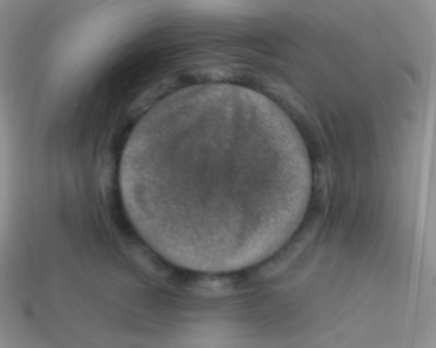 X0000113630760200910162016