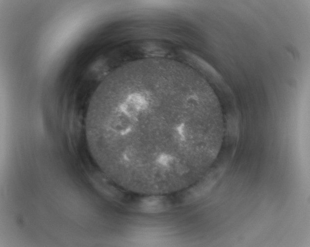 X0000113630761200910162016