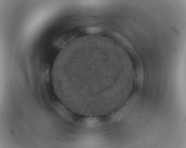 X0000113630762200910162016