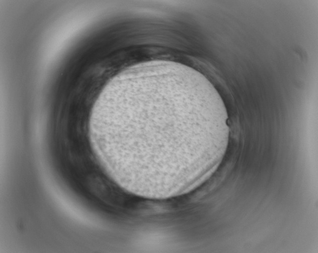 X0000113630763200910162016