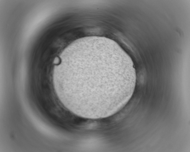 X0000113630764200910162016