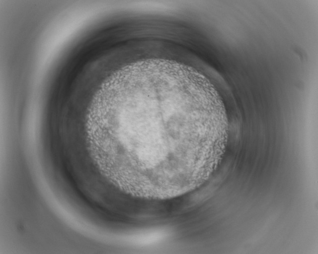 X0000113630765200910162016