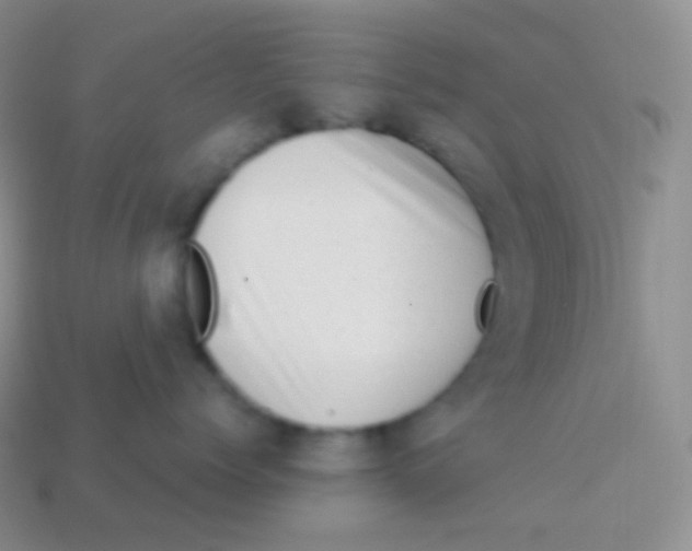 X0000113630768200910162016