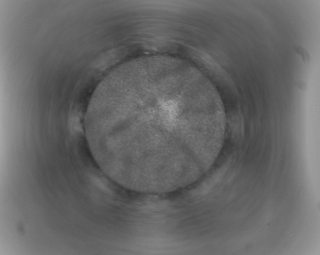 X0000113630770200910162015