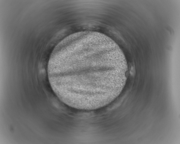 X0000113630771200910162015