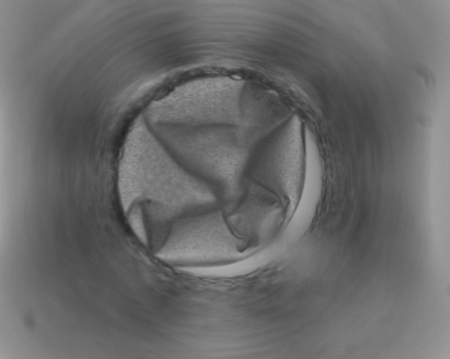 X0000113630773200910162015