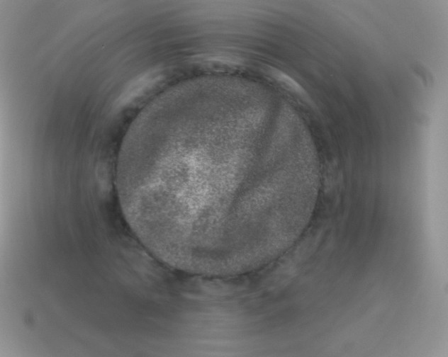 X0000113630774200910162015