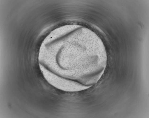 X0000113630775200910162015