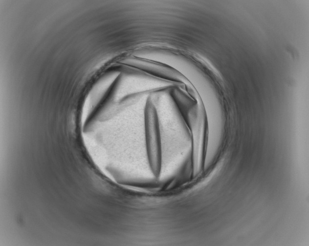 X0000113630777200910162015