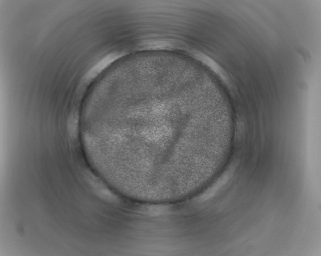 X0000113630778200910162015