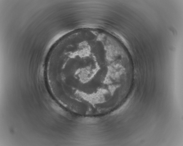 X0000113630779200910162015