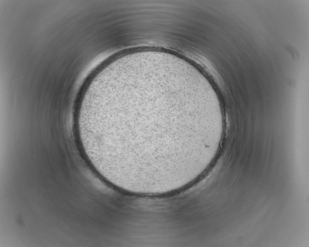 X0000113630780200910162015