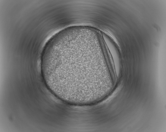 X0000113630781200910162015