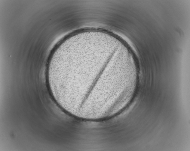 X0000113630783200910162015