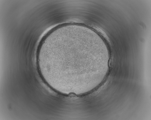 X0000113630784200910162015