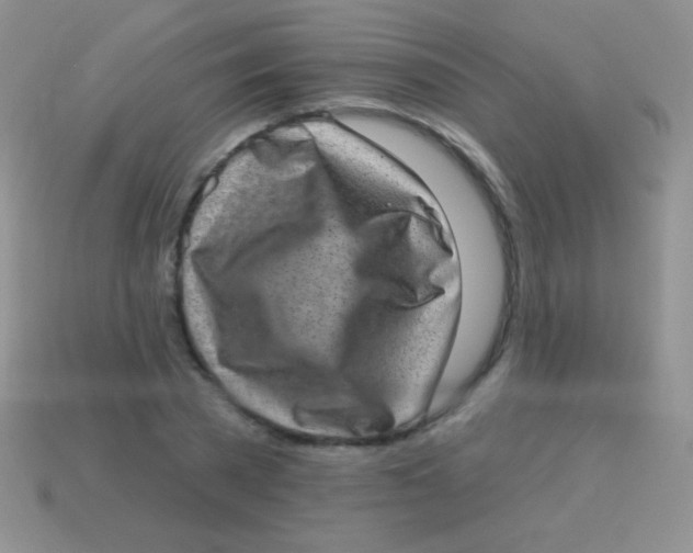 X0000113630785200910162015