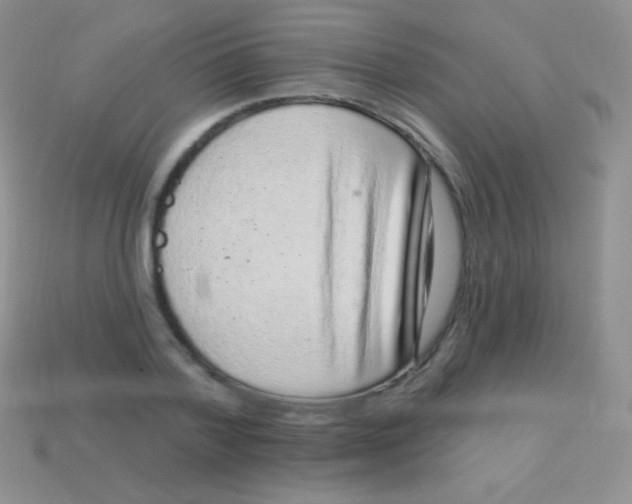 X0000113630788200910162015