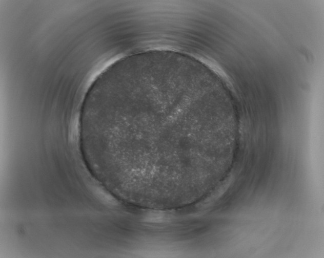 X0000113630790200910162014